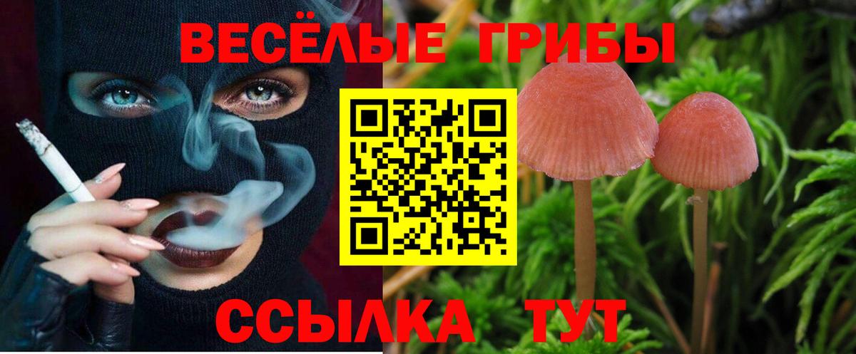 Галлюциногенные грибы мухоморы  Вход с VPN  Белореченск 